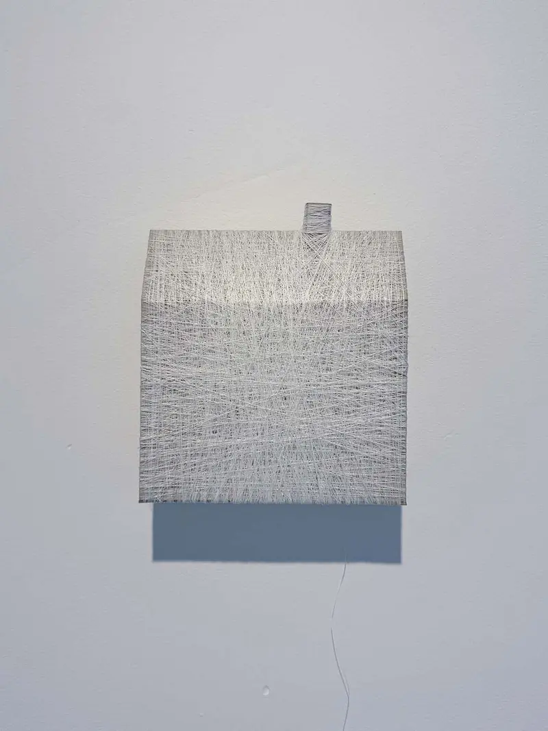 a_house wired - street.art.view