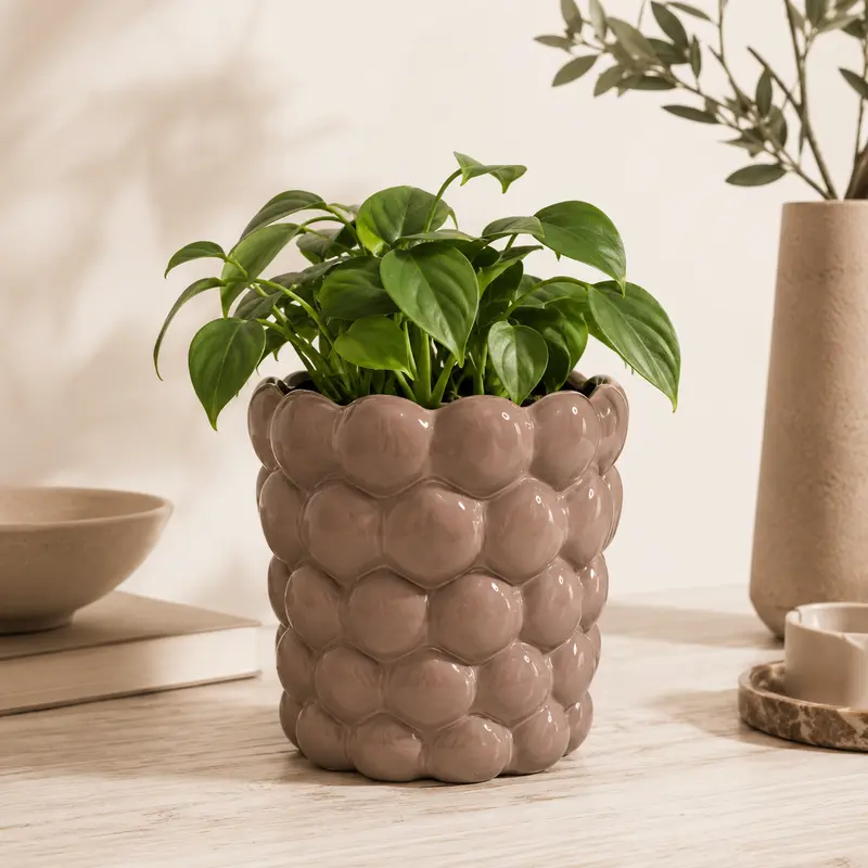 Akila Handmade Light Brown Ceramic Flowerpot with Relief