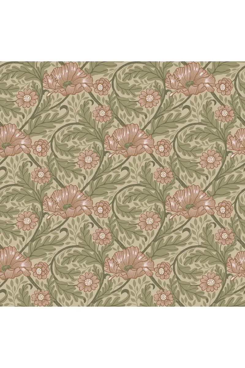 Angas - Esther - 13115