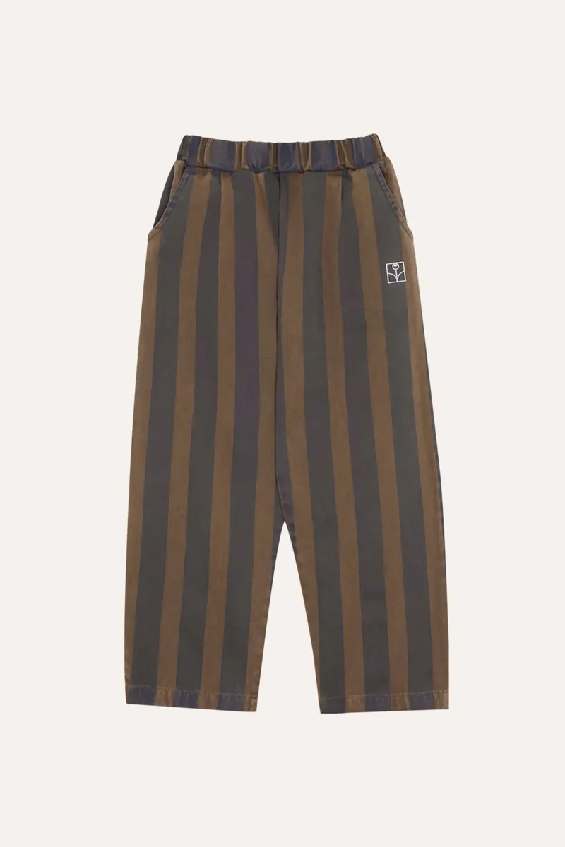 Blue Stripes Trousers