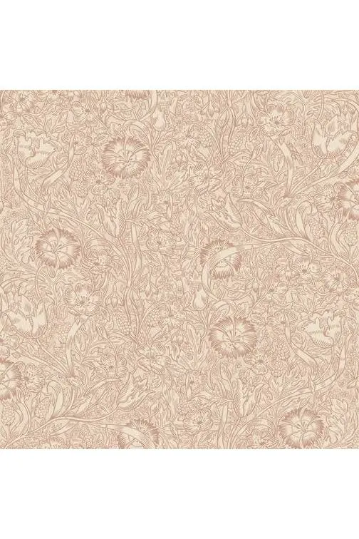 Carolina, Terracotta