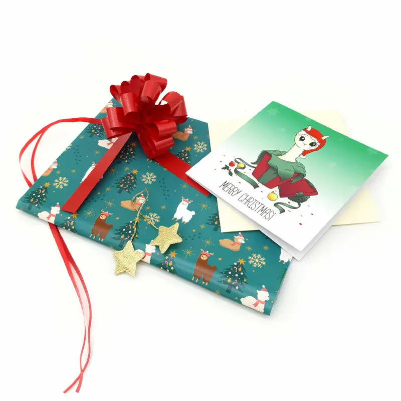 Christmas Wrapping Set