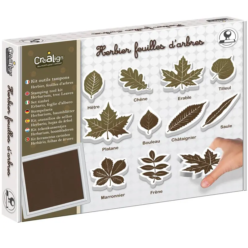 créa lign' - herbarium, boombladeren kit
