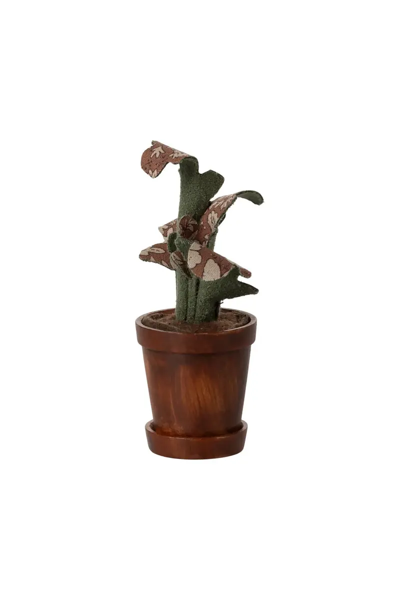 Flower pot with plant
