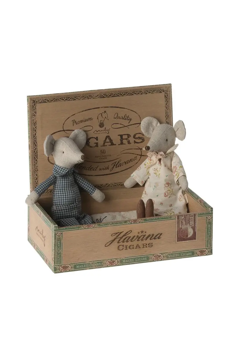 Grandma and Grandpa mice in cigarbox