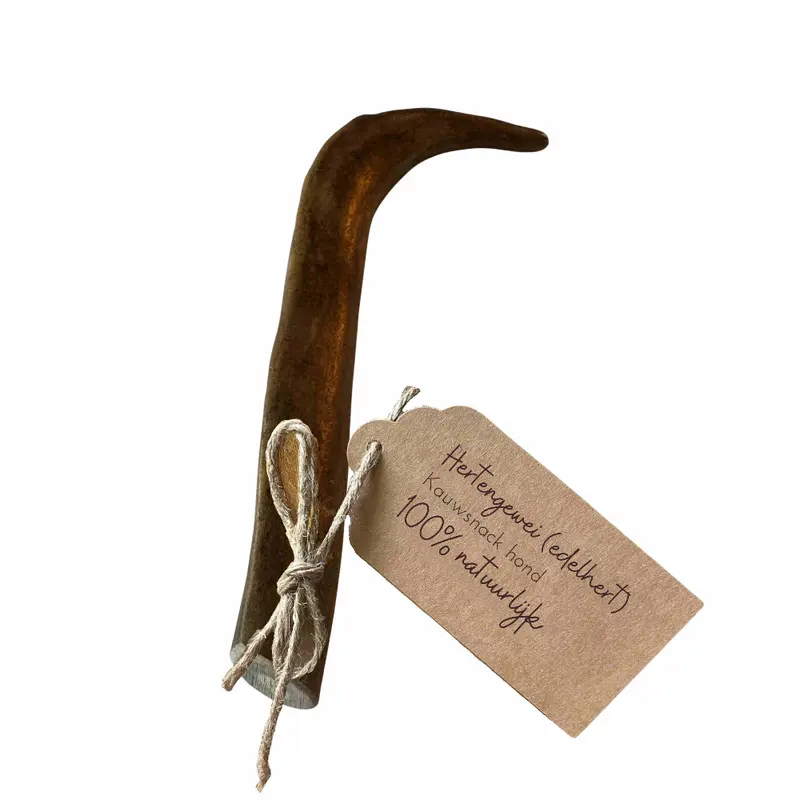 Hertengewei Edelhert M (88-145 gram)