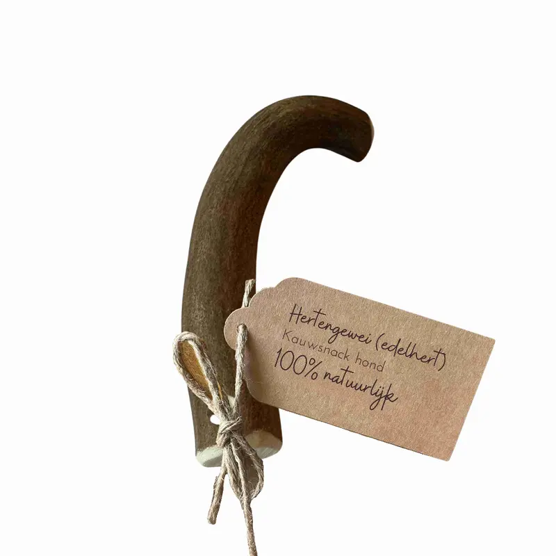 Hertengewei Edelhert S (51-74 gram)