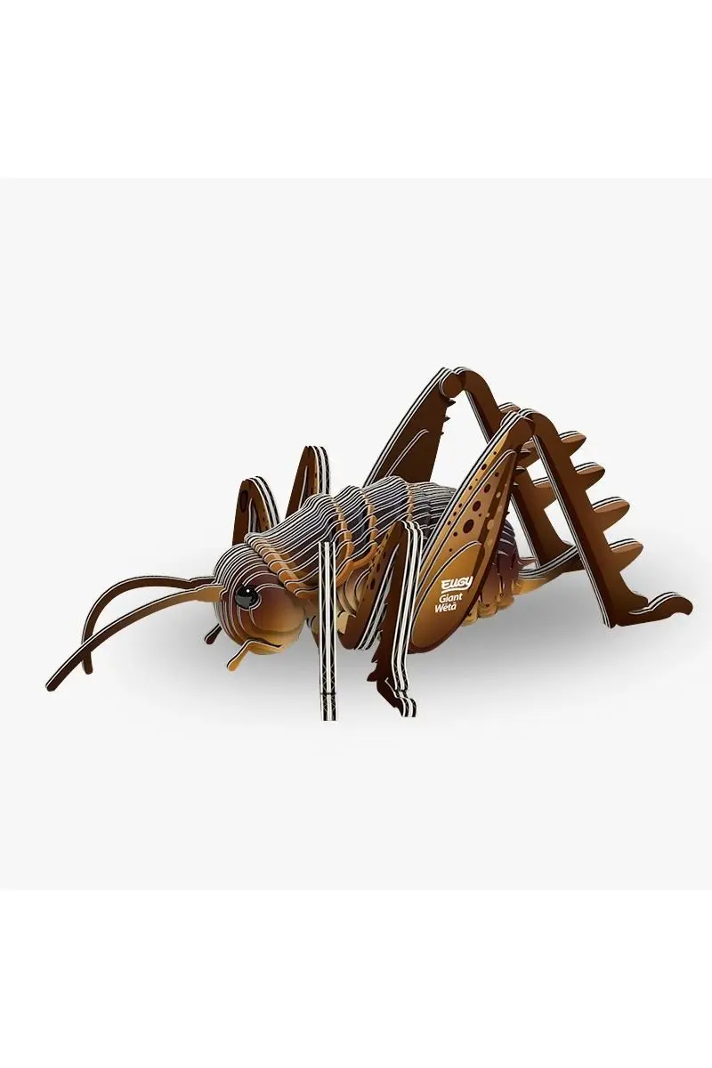 Insect - Reuzenweta