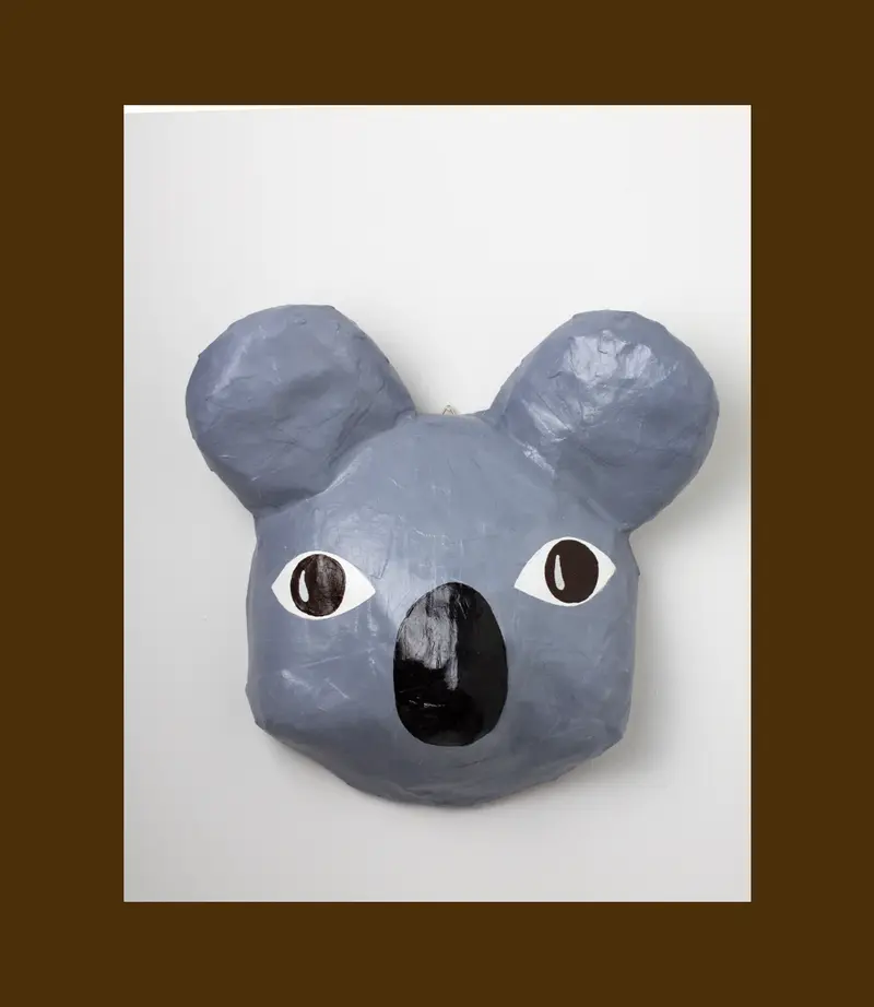 Koala Benjamim