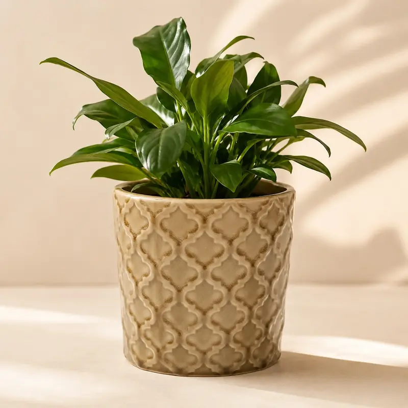 Mila Handmade Dark Beige Ceramic Flowerpot