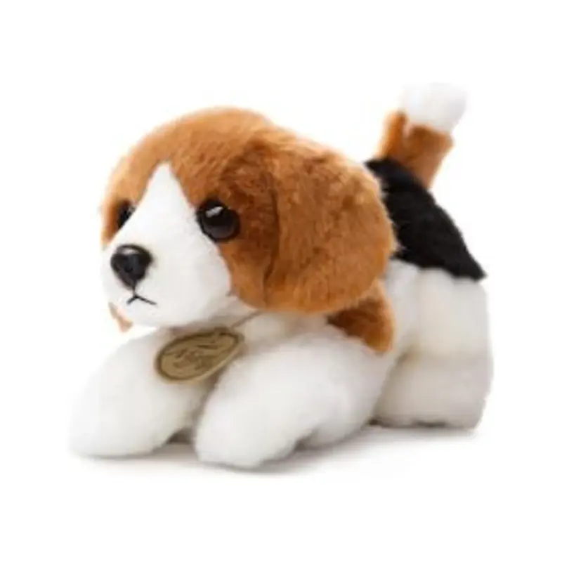 MiYoni - Beagle Hond