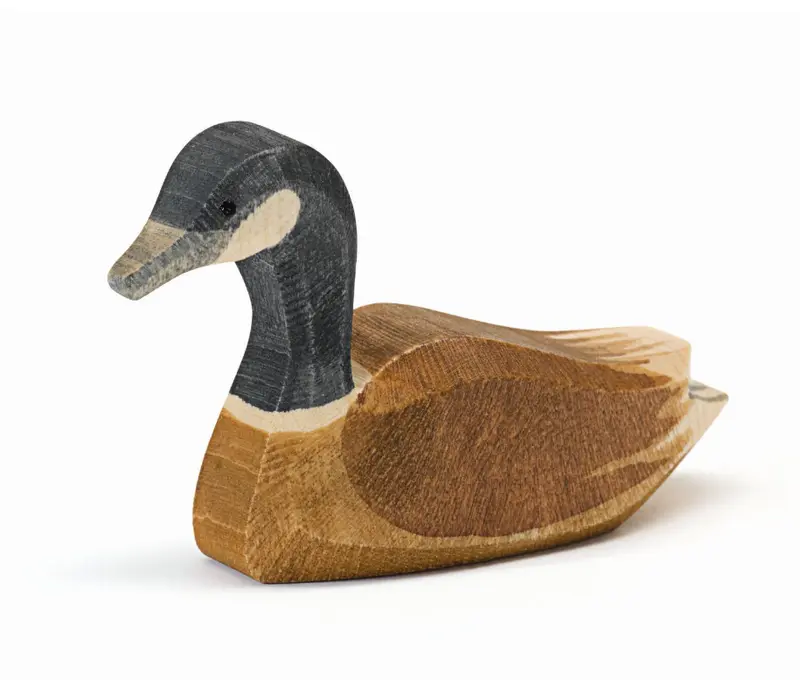 Ostheimer Canadese gans die zwemt (22703) NIEUW
