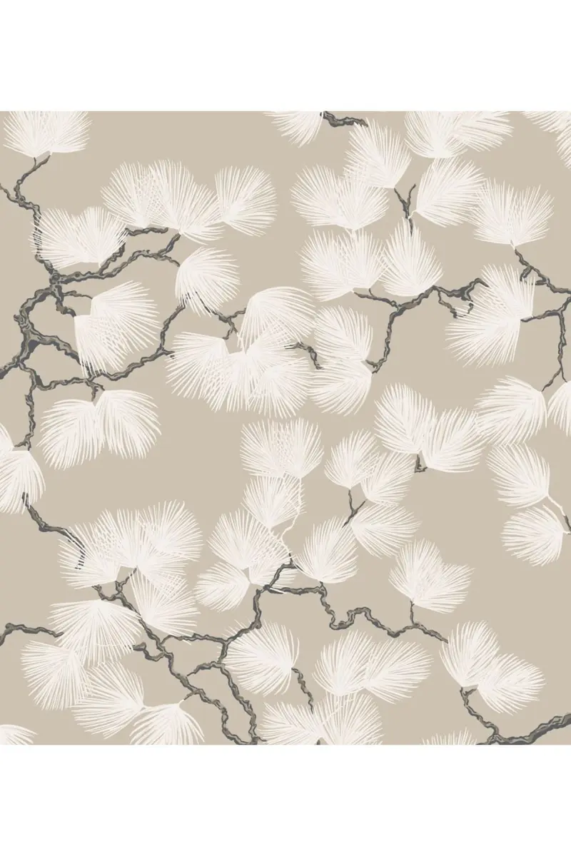 Pine, Beige