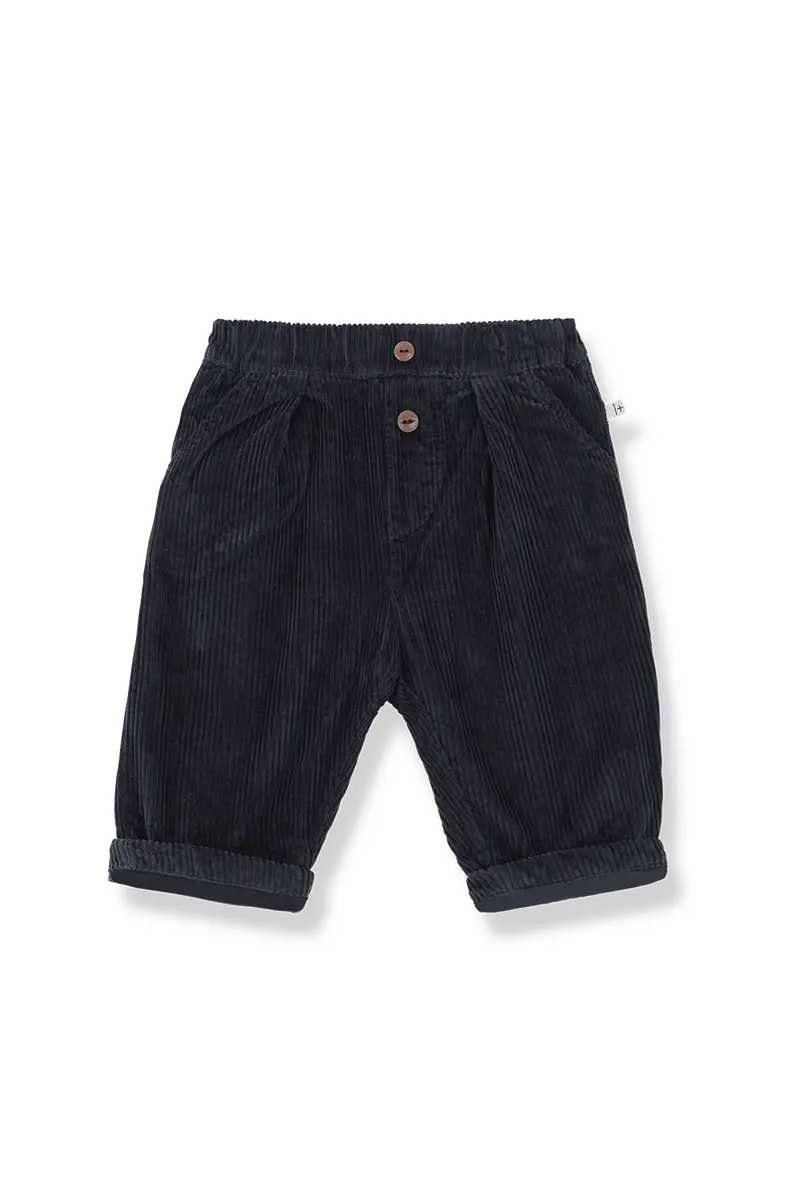 Quebec lined pants - blue