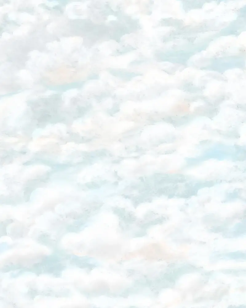 Sandberg Himmel Mural – Light Blue