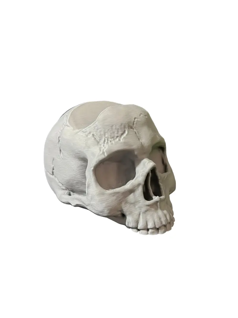 Skull Controller Stand – 3D-Geprinte Schedel Controllerhouder