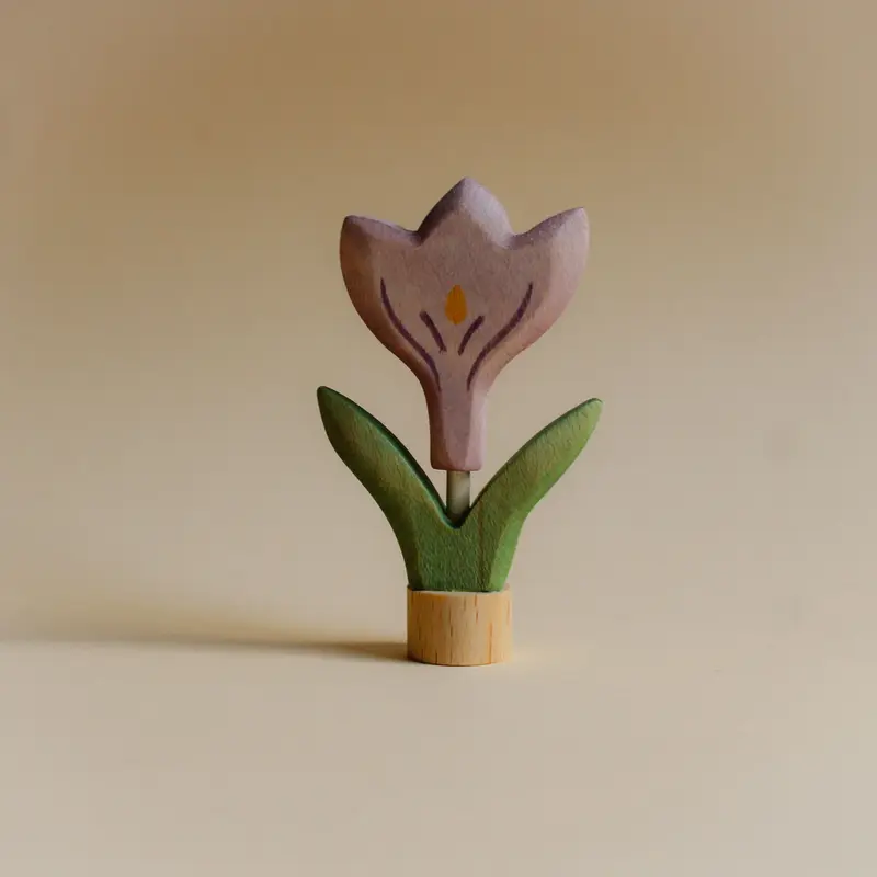 Steker Krokus