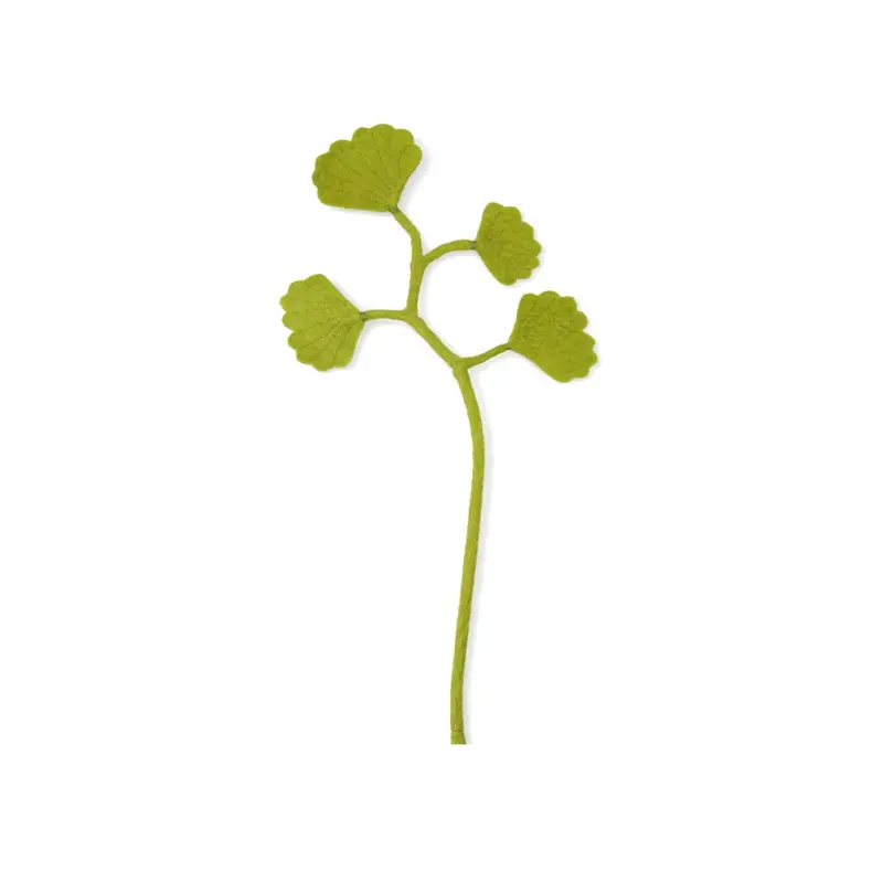 Tak - Ginko