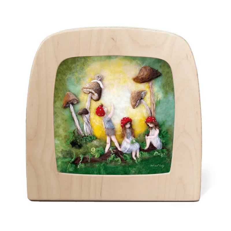 Toverplaat - Het Wol Feetje - Kinderen van het bos