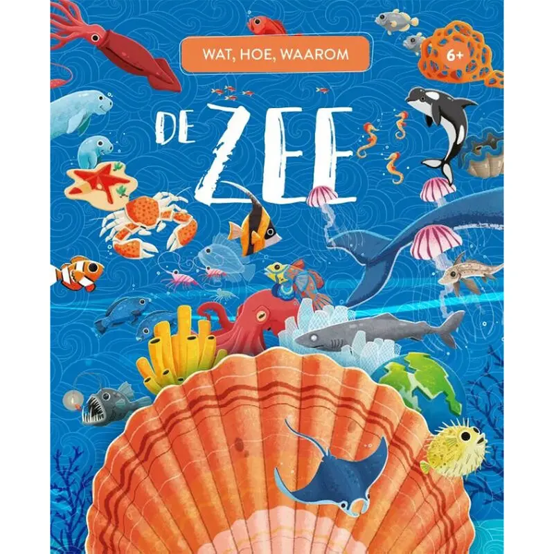 uitgeverij rebo wat, hoe, waarom de zee