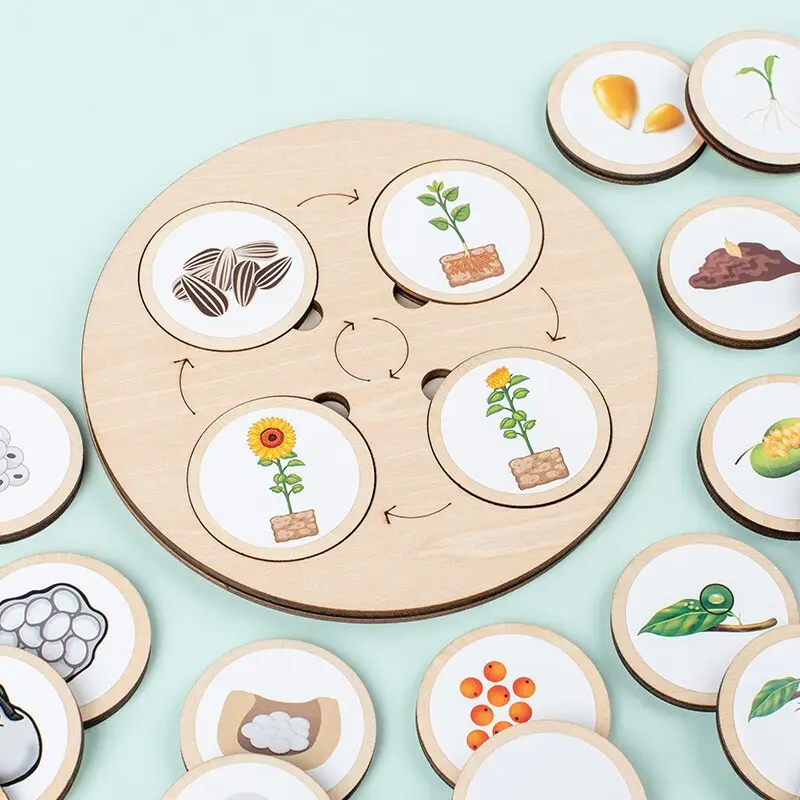 Woods™ - Leer de levenscyclus ontdekken! - Houten puzzel